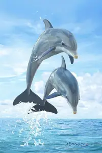 Descarga de la aplicación Lindo fondo de pantalla de delfines 2023 - Gratis  - 9Apps
