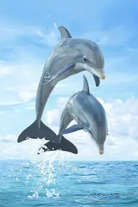 Descarga de la aplicación Lindo fondo de pantalla de delfines 2023 - Gratis - 9Apps Descarga de la aplicación Lindo fondo de pantalla de delfines 2023 - Gratis - 9Apps