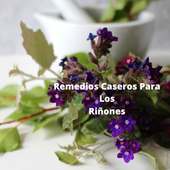 Remedios para los riñones gratis en linea