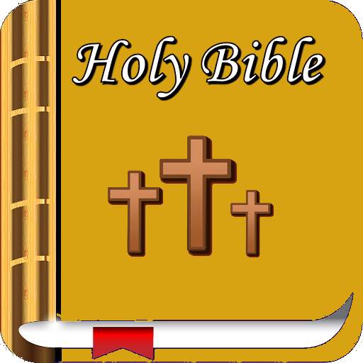 Holy Bible  Afr1933 /1953