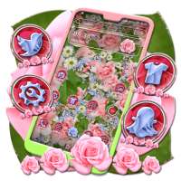 Pink Rose Flowers Theme