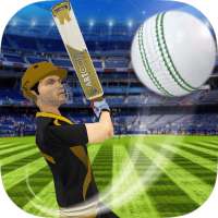 Cricket Multiplayer on 9Apps