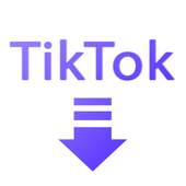 تنزيل فيديو TikTok بدون علامة مائية