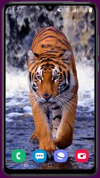 Royal Tiger Wallpaper HD APK Download 2023 - Free - 9Apps Royal Tiger Wallpaper HD APK Download 2023 - Free - 9Apps