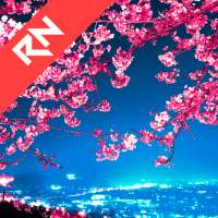 Relax Nature: Sakura on 9Apps