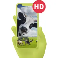 Descarga de la aplicación Fondos de Pantalla Graciosos 2023 - Gratis - 9Apps Descarga de la aplicación Fondos de Pantalla Graciosos 2023 - Gratis - 9Apps