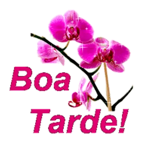 Download do aplicativo Novos Figurinhas Bom Dia Boa Tarde e Boa Noite 2023 - Grátis - 9Apps Download do aplicativo Novos Figurinhas Bom Dia Boa Tarde e Boa Noite 2023 - Grátis - 9Apps