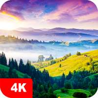 Hintergrundbilder Natur 4K