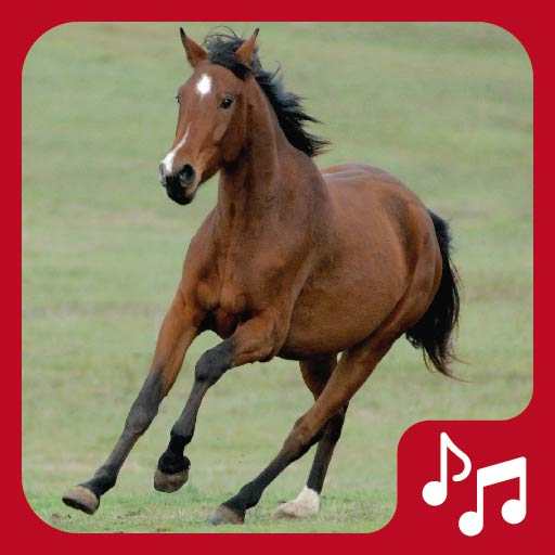 Horses Sounds for Cell Phone free.