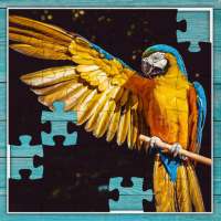 Jigsaw Puzzle: Classic
