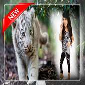 Tiger Photo frame