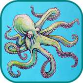 Octopus Wallpaper Art