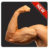 Arm Workout - Biceps Exercise on 9Apps