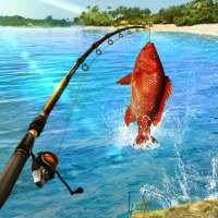 لعبة صيد السمك: Fishing Clash on 9Apps