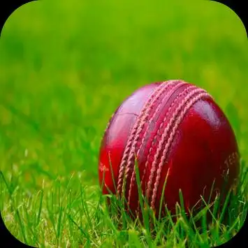 Cricket Wallpaper HD APK Download 2023 - Free - 9Apps