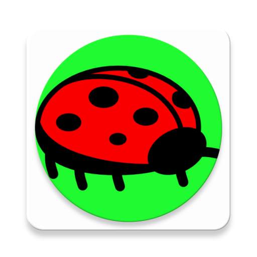 Flying ladybug
