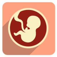Pregnancy App : childbirth care & baby tracker