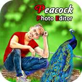 Peacock Photo Editor