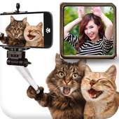 Funny Photo Frames