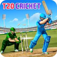 Indian Cricket Champions Game