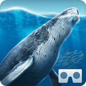 Sea World VR2 on 9Apps