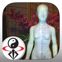 Qigong for Women (YMAA) on 9Apps