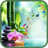 Musique relaxante pour calmer l'esprit on 9Apps