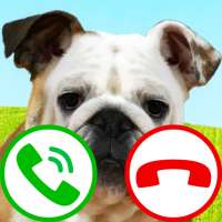 fake call dog game on 9Apps