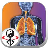 Qigong Breathing Video Lesson on 9Apps