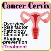 Cancer Cervix Fact