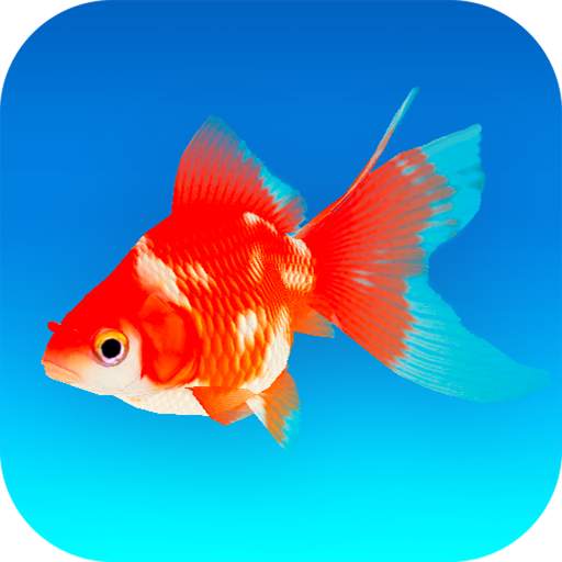 Goldfish 3D - Relaxing Aquarium Fish Tank