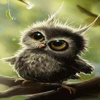 Cute Small Owl LWP