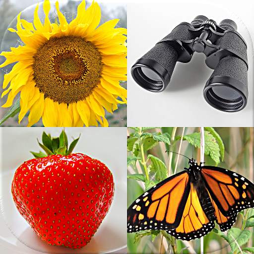 Guess Pictures and Words: Photo-Quiz with 5 Topics