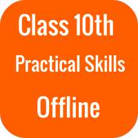 Class 10 Science Practicals Of