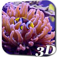 Aquarium Video Live Wallpaper on 9Apps