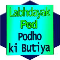 Labhdayak Ped Poudhe लाभदायक पेड़ पौधे on 9Apps