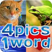 4 fotos 1 palavra (4pics1word)