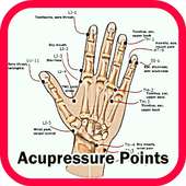 Acupressure Points Guide