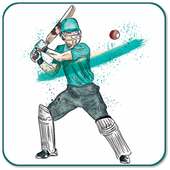 Hand Cricket Game : Unlimited Fun