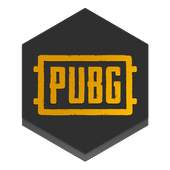 PUBG CASES