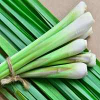 Health Benefits Of Lemon Grass on 9Apps