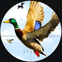 Temporada caça pato 2020: Jogos tiro pássaros 3D
