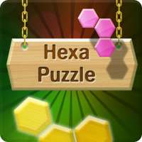 Puzzle Master Hexa