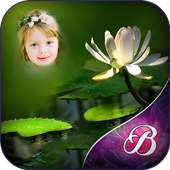 Lotus Photo Frames on 9Apps