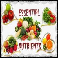 Essential Nutrients for Health on 9Apps