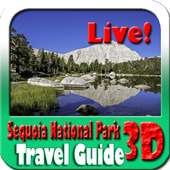 Sequoia National Park Maps and Travel Guide