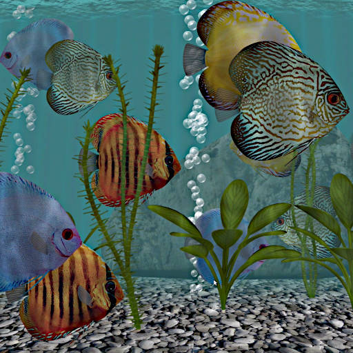 Discus Fish Aquarium TV - 3D Live App