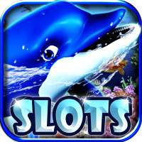 Dolphin casino: rotatie-show