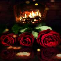 Fireplace Roses LWP