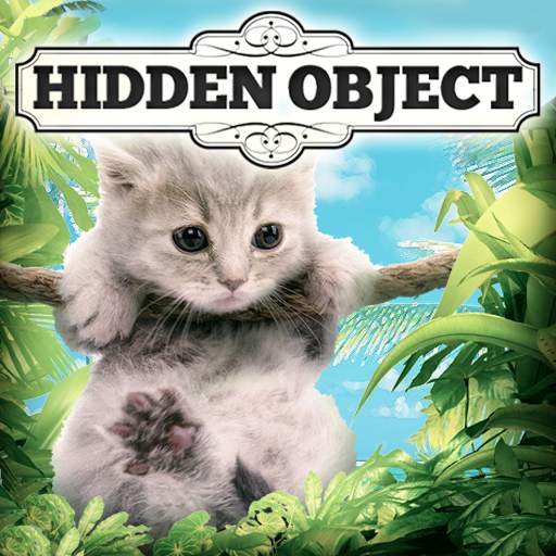 Hidden Object: Cat Island Adventure